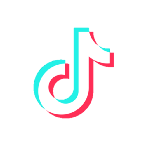 Tiktok Icon